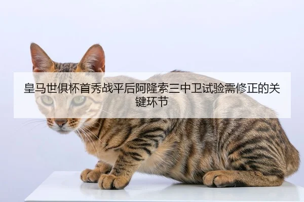 皇马世俱杯首秀战平后阿隆索三中卫试验需修正的关键环节
