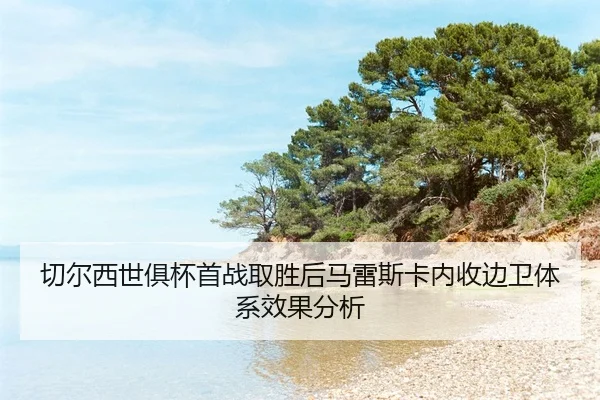 qie-er-xi-shi-ju-bei-shou-zhan-qu-sheng-hou-ma-lei-si-ka-nei-shou-bian-wei-ti-xi-xiao-guo-fen-xi-2-367.jpg