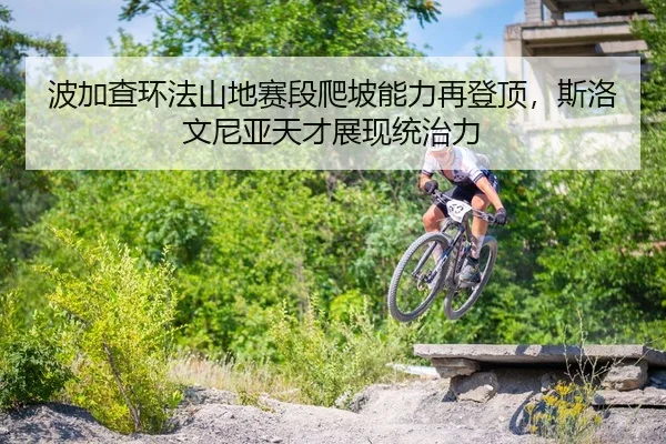 bo-jia-cha-huan-fa-shan-di-sai-duan-pa-po-neng-li-zai-deng-ding-si-luo-wen-ni-ya-tian-cai-zhan-xian-tong-zhi-li-3-378.jpg