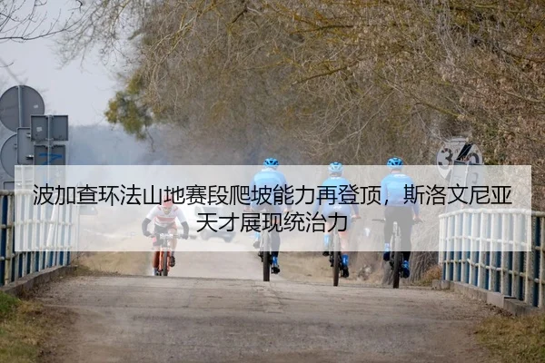 波加查环法山地赛段爬坡能力再登顶，斯洛文尼亚天才展现统治力